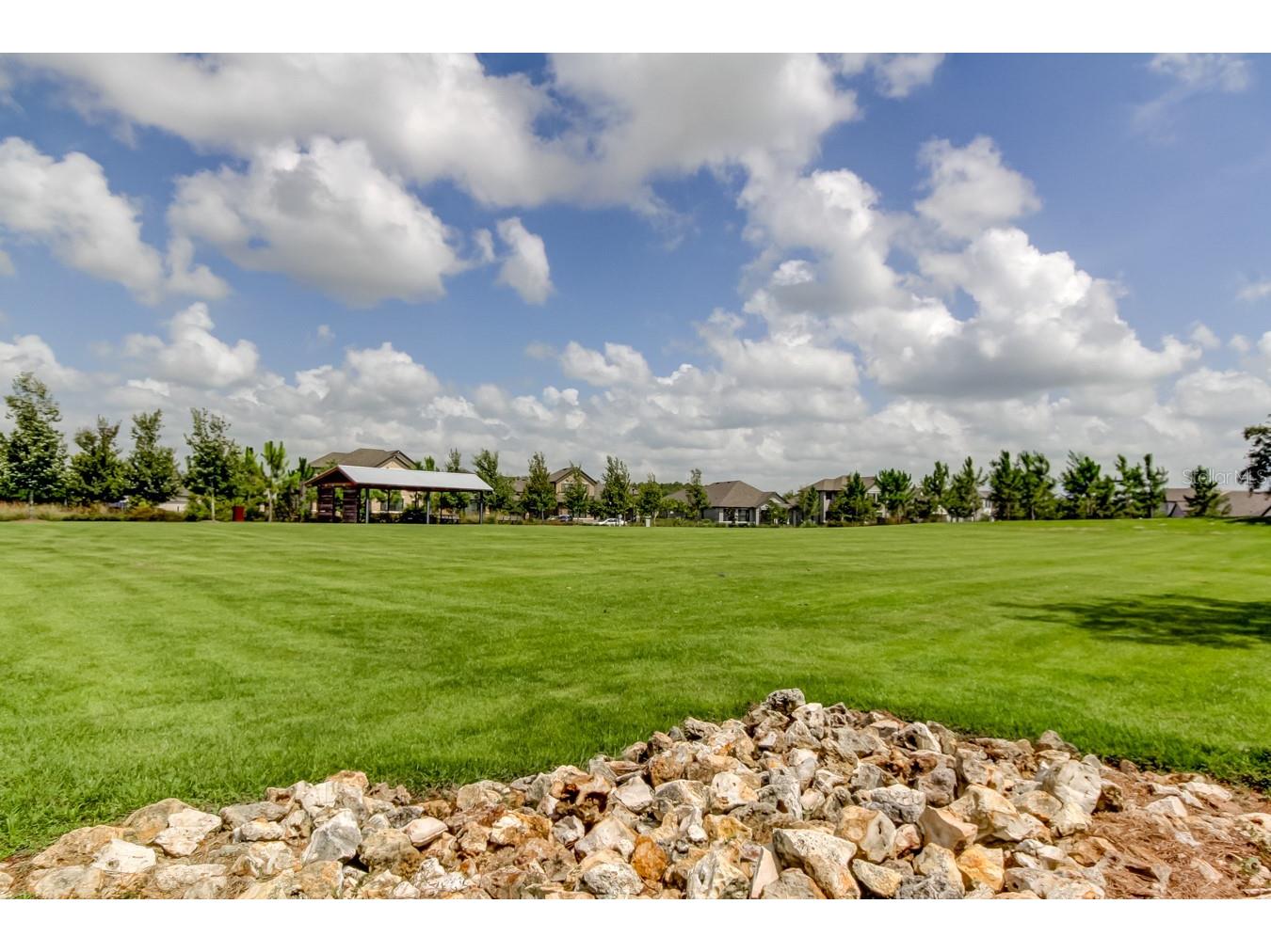 12303 Corkfield Lane Odessa FL 33556 TB8487286 image74