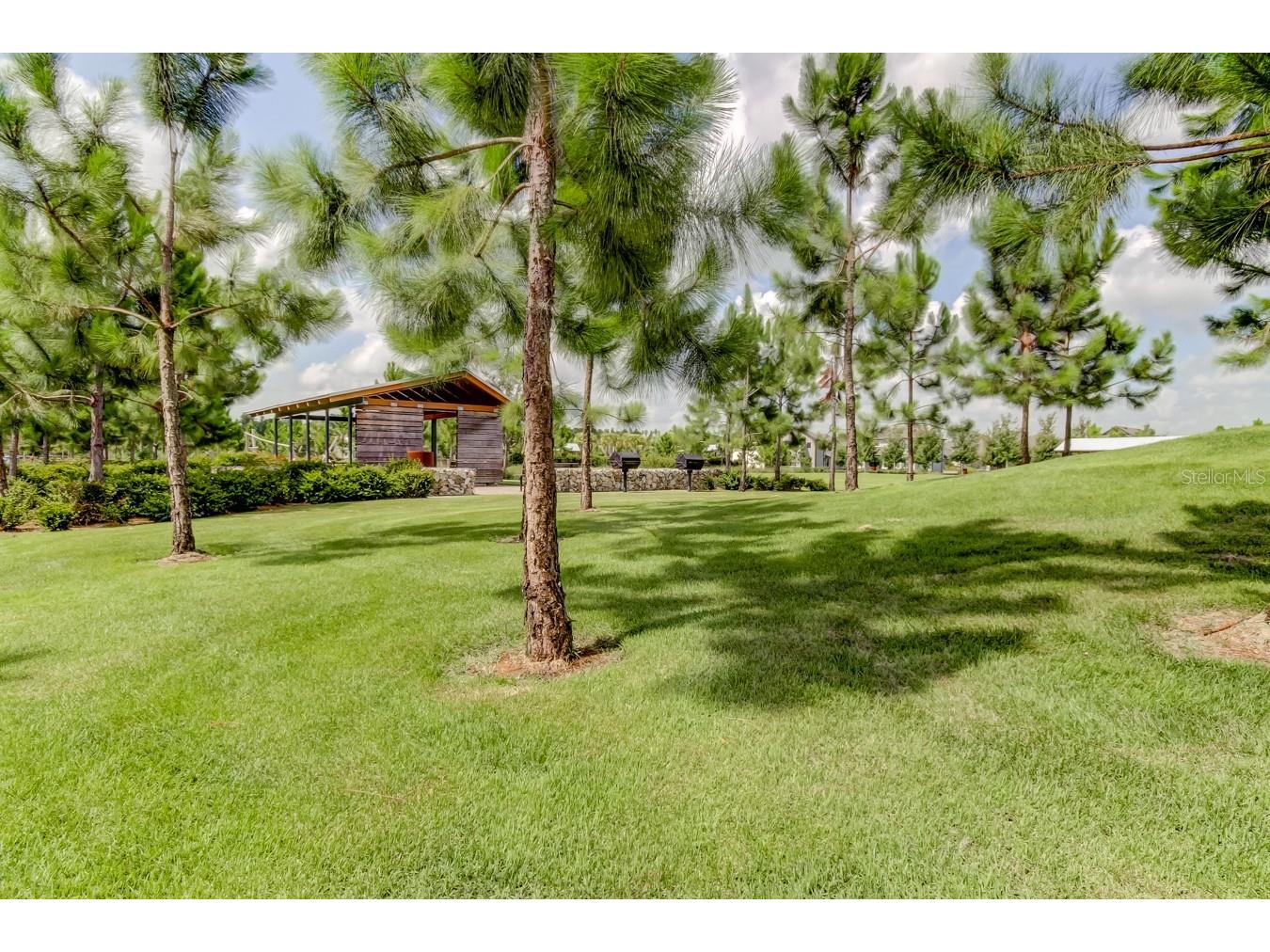 12303 Corkfield Lane Odessa FL 33556 TB8487286 image79