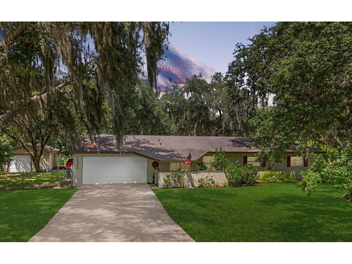 12303 Kelly Lane Thonotosassa FL 33592 T3529858 image1