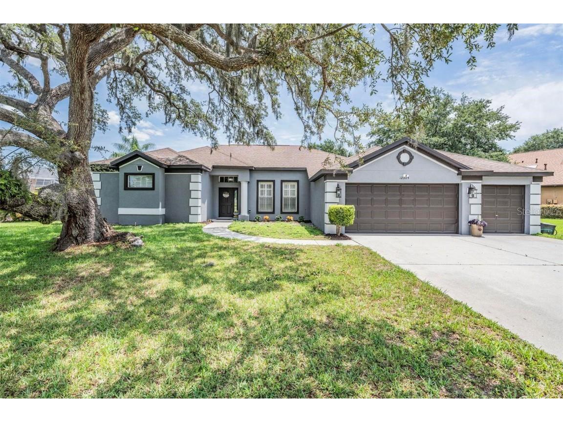 12304 Creek Edge Drive Riverview FL 33579 T3529485 image1