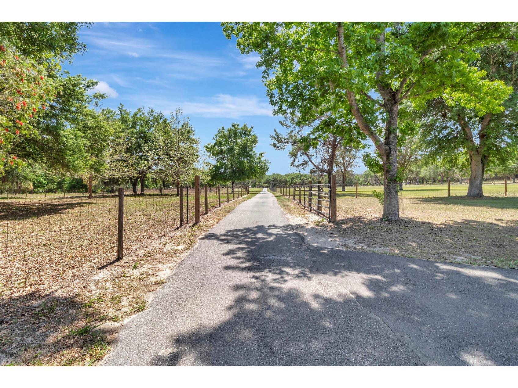 12305 Howey Cross Road Clermont FL 34715 S5147055 image58