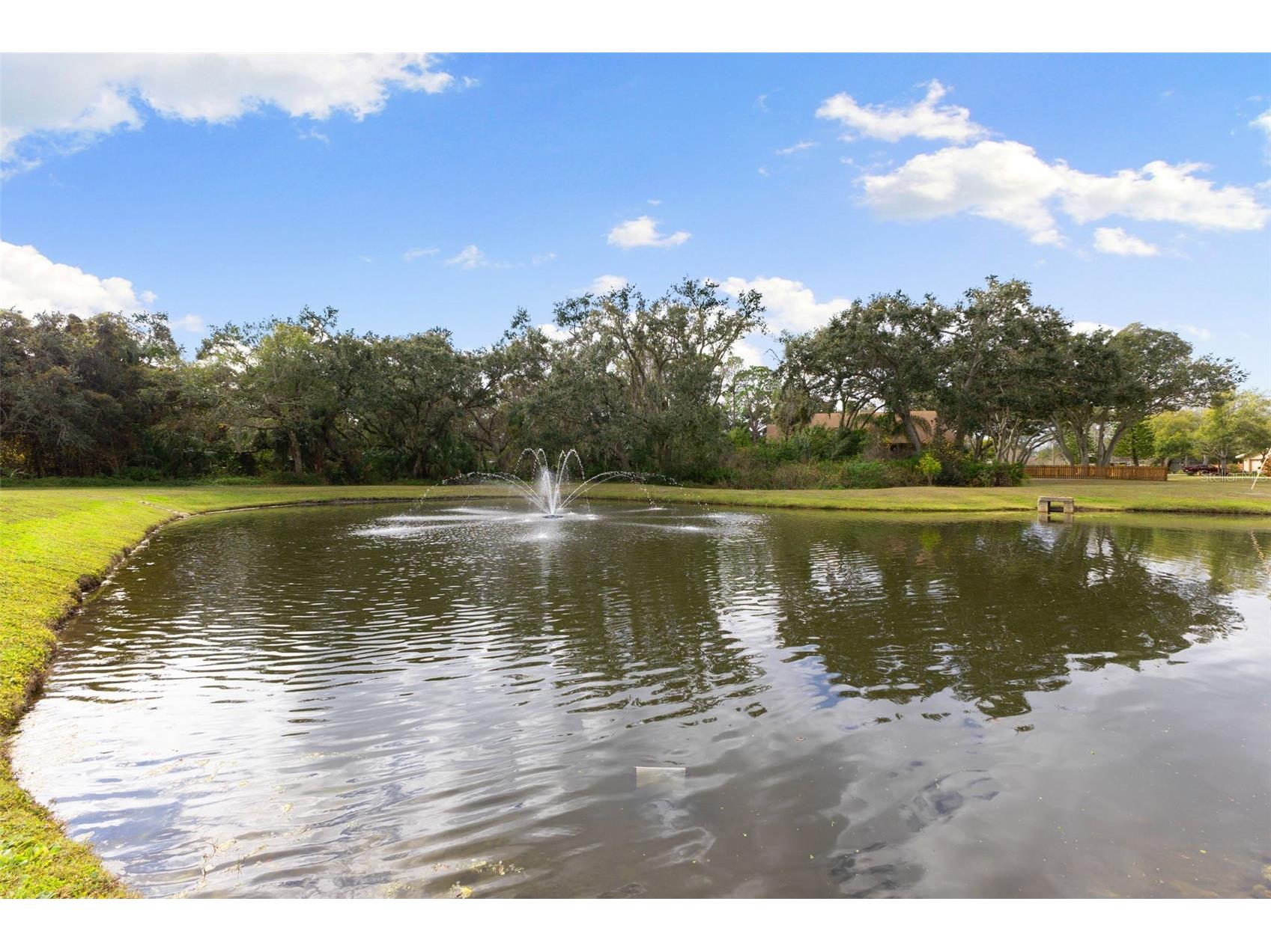 12305 Twin Branch Acres Road Tampa FL 33626 TB8461676 image50