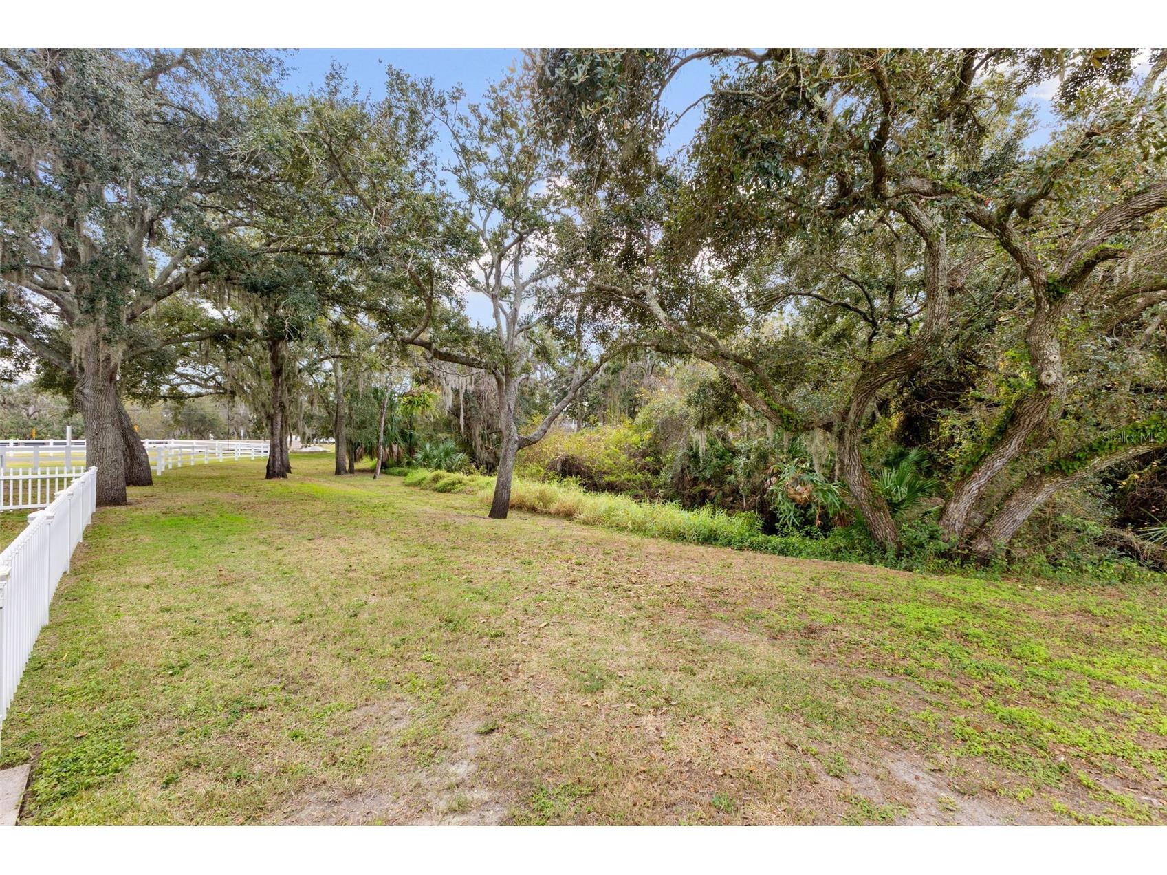 12305 Twin Branch Acres Road Tampa FL 33626 TB8461676 image55