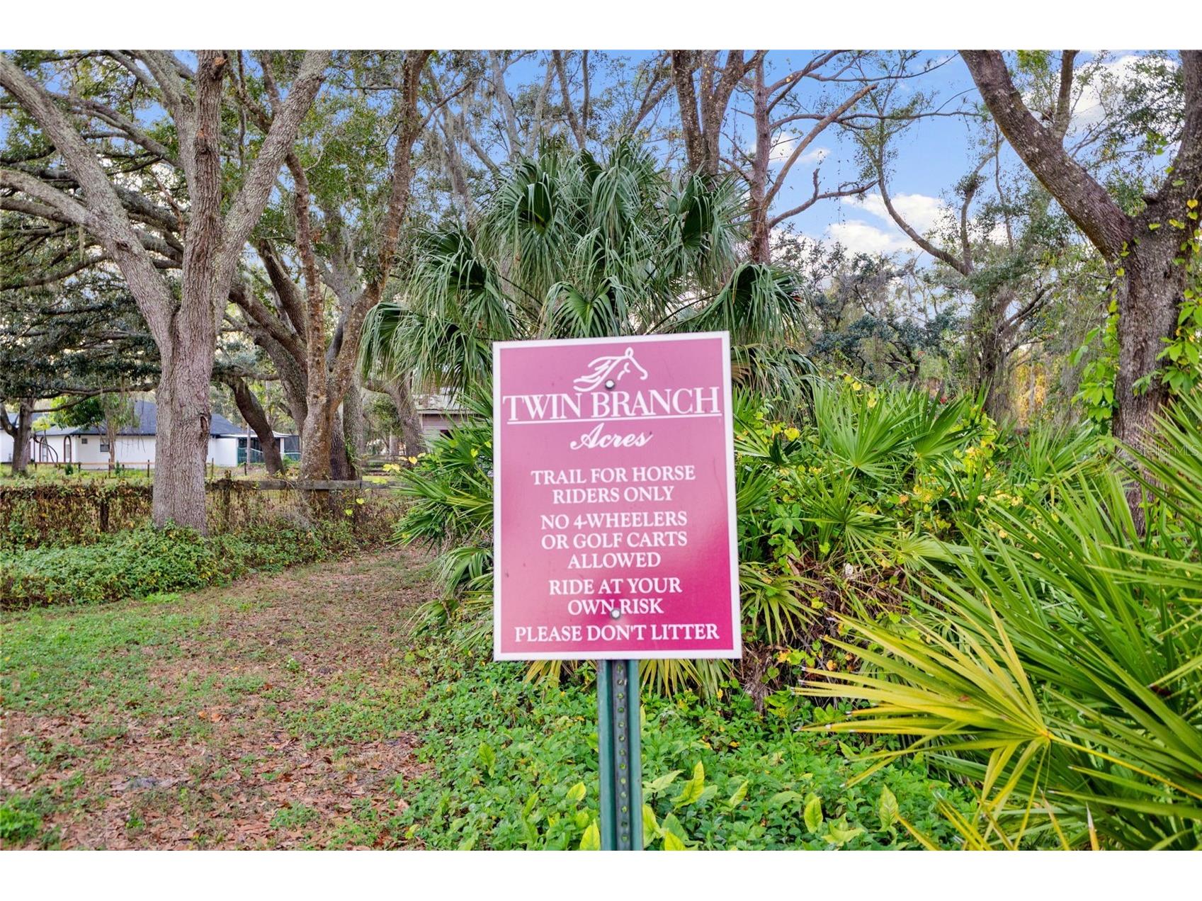 12305 Twin Branch Acres Road Tampa FL 33626 TB8461676 image56