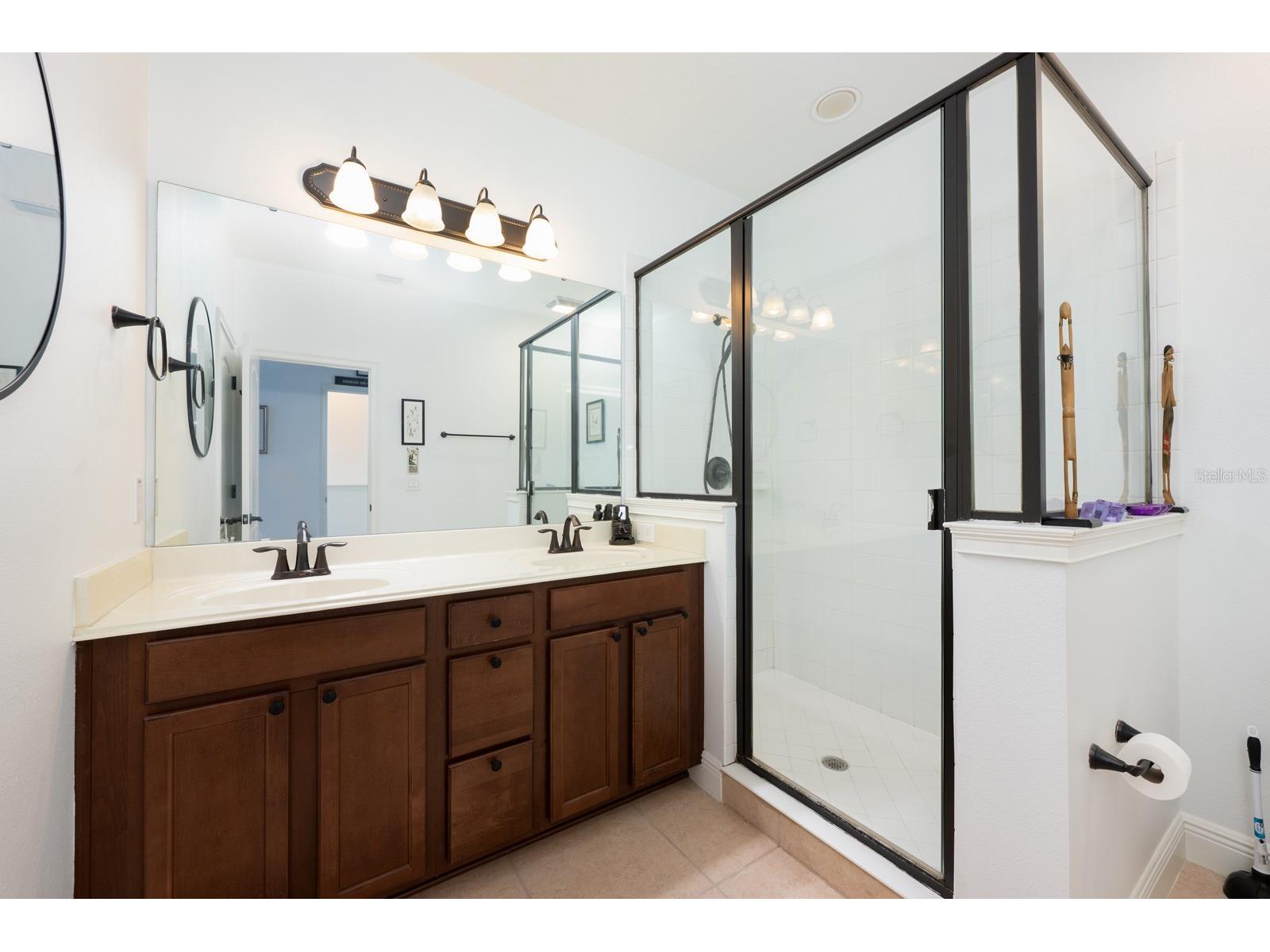 12305 Via Derna Place Windermere FL 34786 O6374964 image14