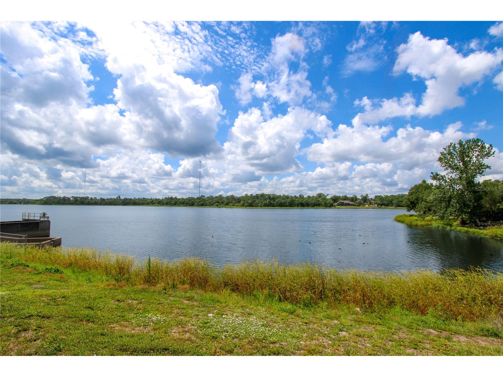 12305 Wexford Hills Road Riverview FL 33569 TB8519797 image39