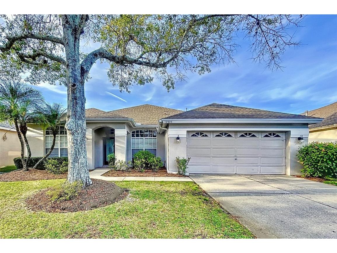 12305 Wycliff Place Tampa FL 33626 T3495717 image1