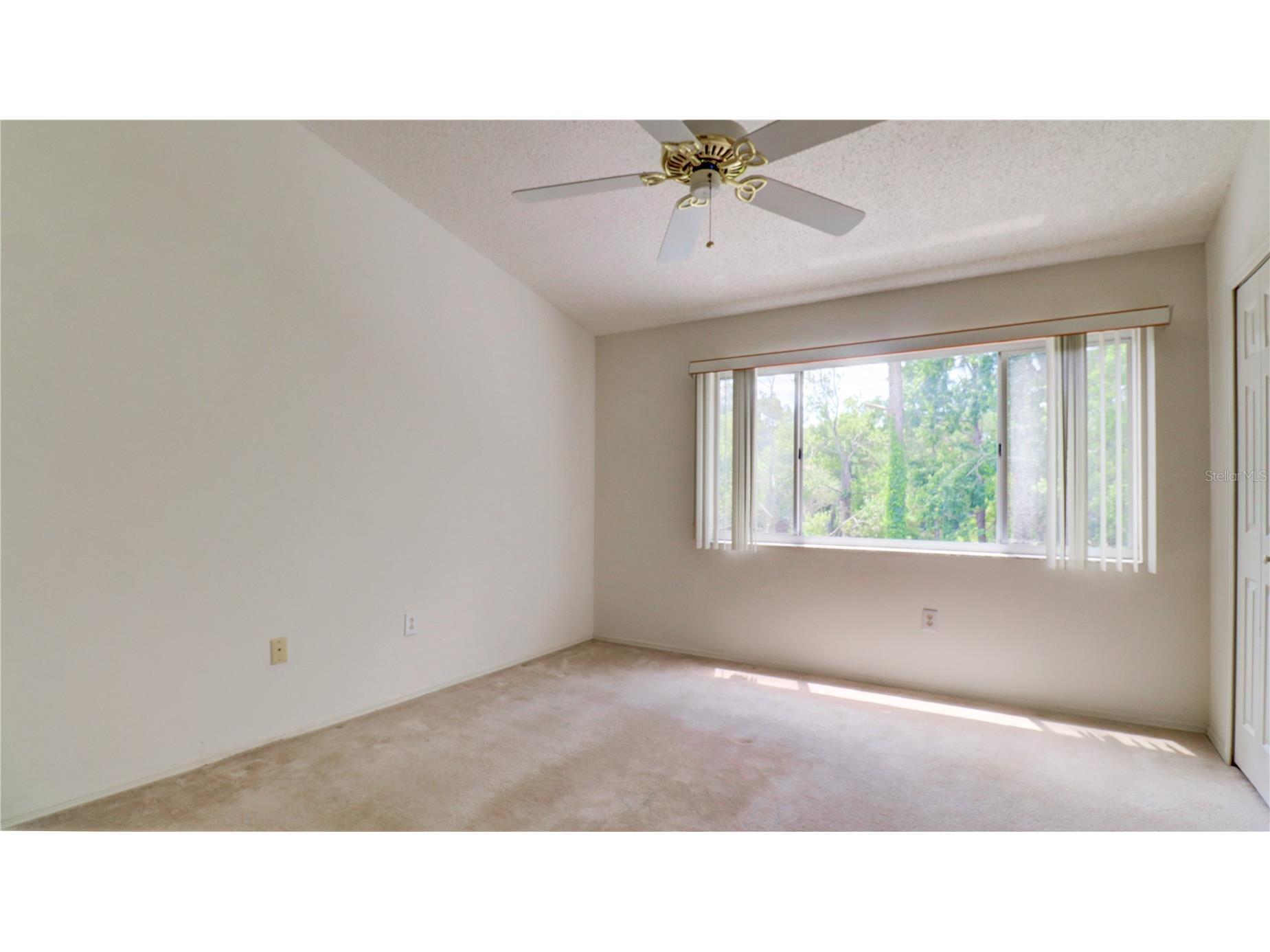 12306 Berkeley Square Drive Tampa FL 33626 TB8504968 image17