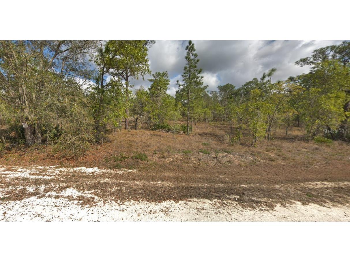 12306 Snowy Egret Avenue Weeki Wachee FL 34614 OK224262 image1