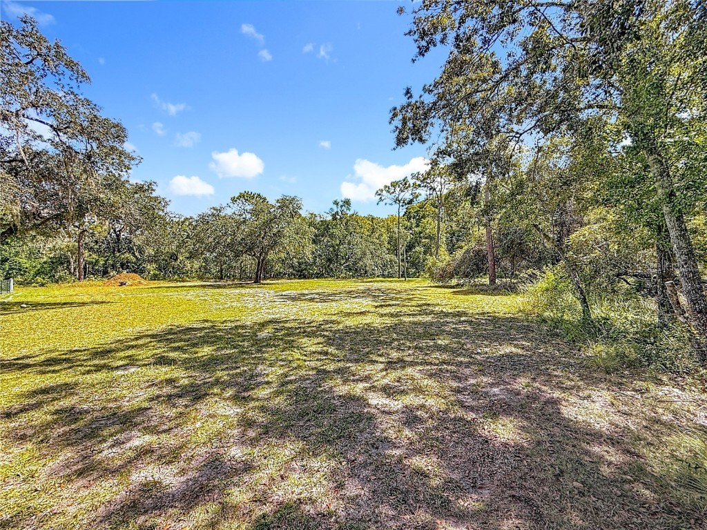 12306 State Road 52 Hudson FL 34669 TB8436069 image11