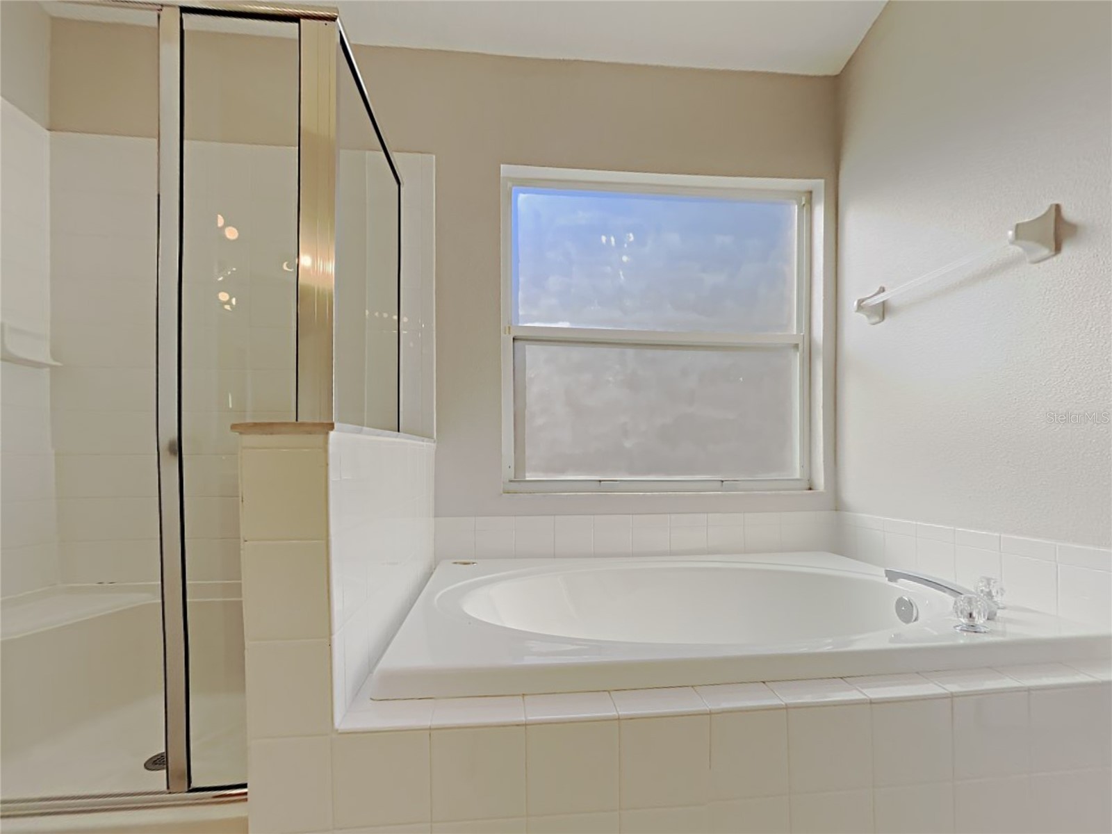 12306 Twinkling Star Place Riverview FL 33578 C7527009 image16