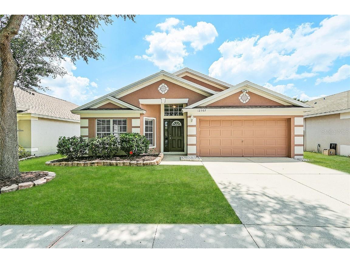 12307 Hawkeye Point Place Riverview FL 33578 O6144493 image1
