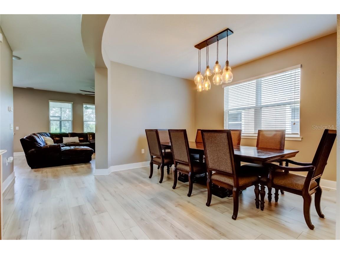 12307 Juniper Field Court Riverview FL 33579 TB8426935 image16