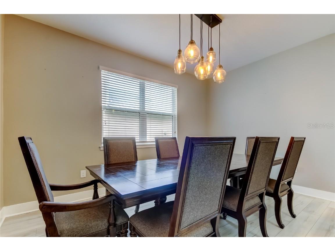 12307 Juniper Field Court Riverview FL 33579 TB8426935 image34