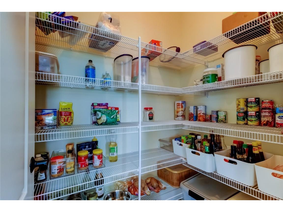 12307 Juniper Field Court Riverview FL 33579 TB8426935 image47