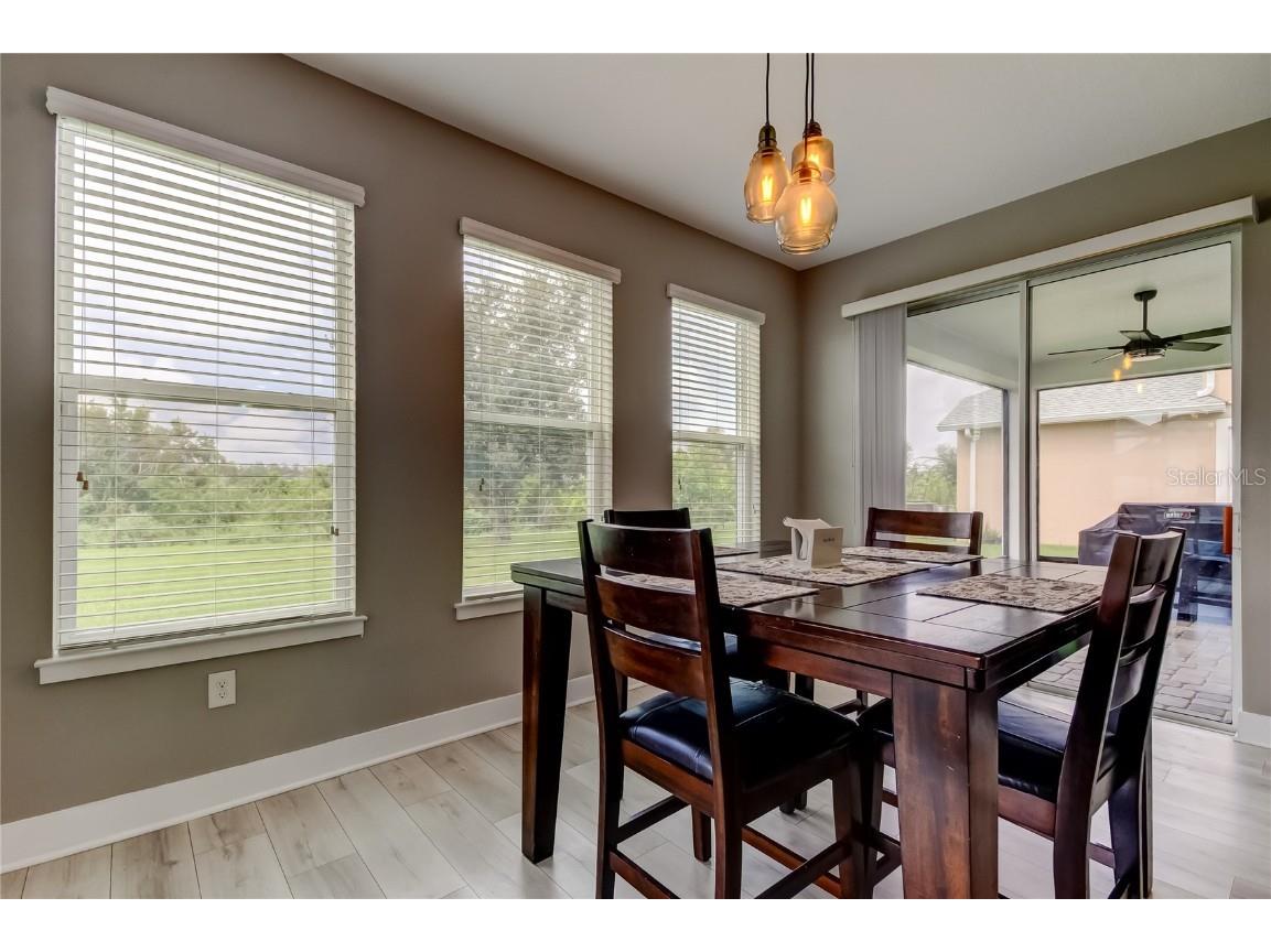 12307 Juniper Field Court Riverview FL 33579 TB8426935 image49