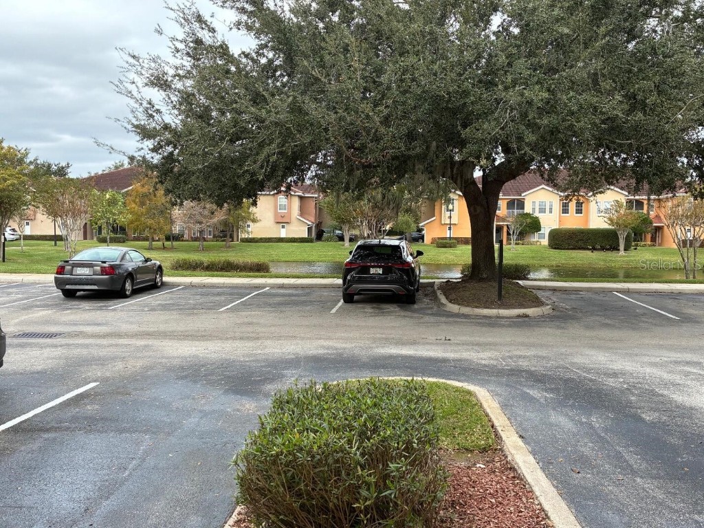 12307 Lantana Park Lane #102 Orlando FL 32837 O6371207 image2