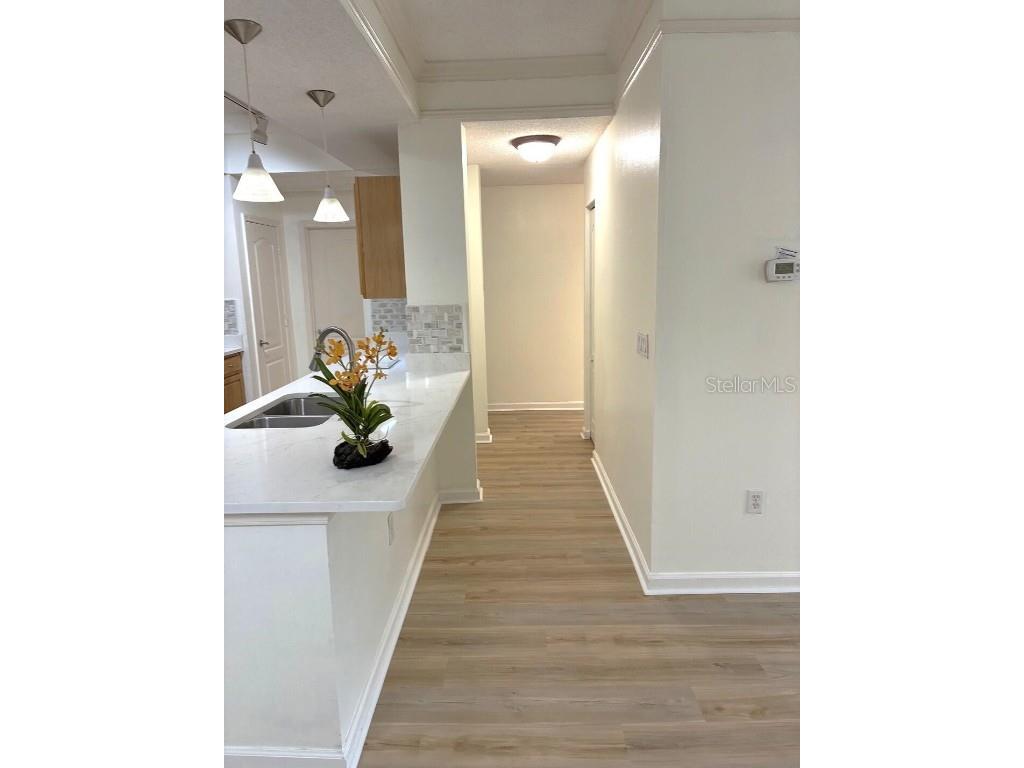 12307 Lantana Park Lane #102 Orlando FL 32837 O6371207 image20