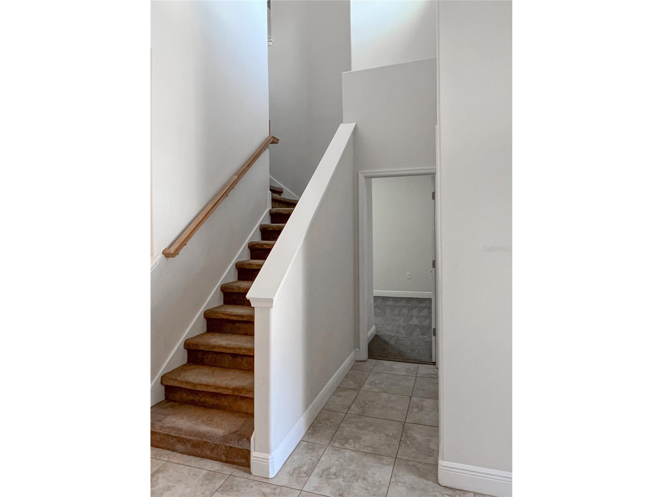 12307 Newt Court New Port Richey FL 34654 TB8516519 image28
