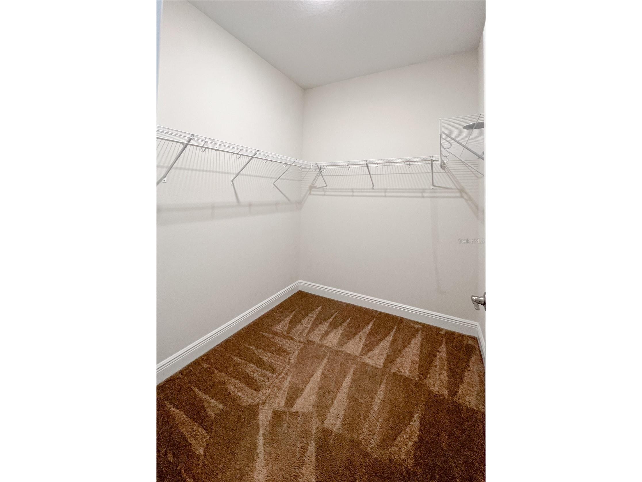 12307 Newt Court New Port Richey FL 34654 TB8516519 image37
