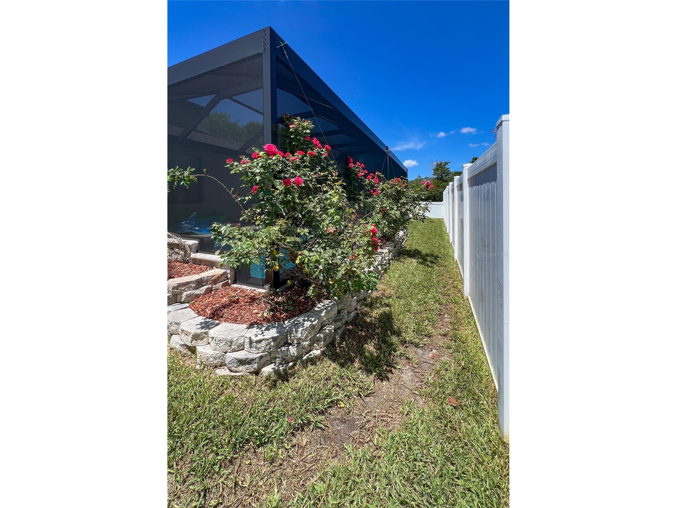 12307 Newt Court New Port Richey FL 34654 TB8516519 image54