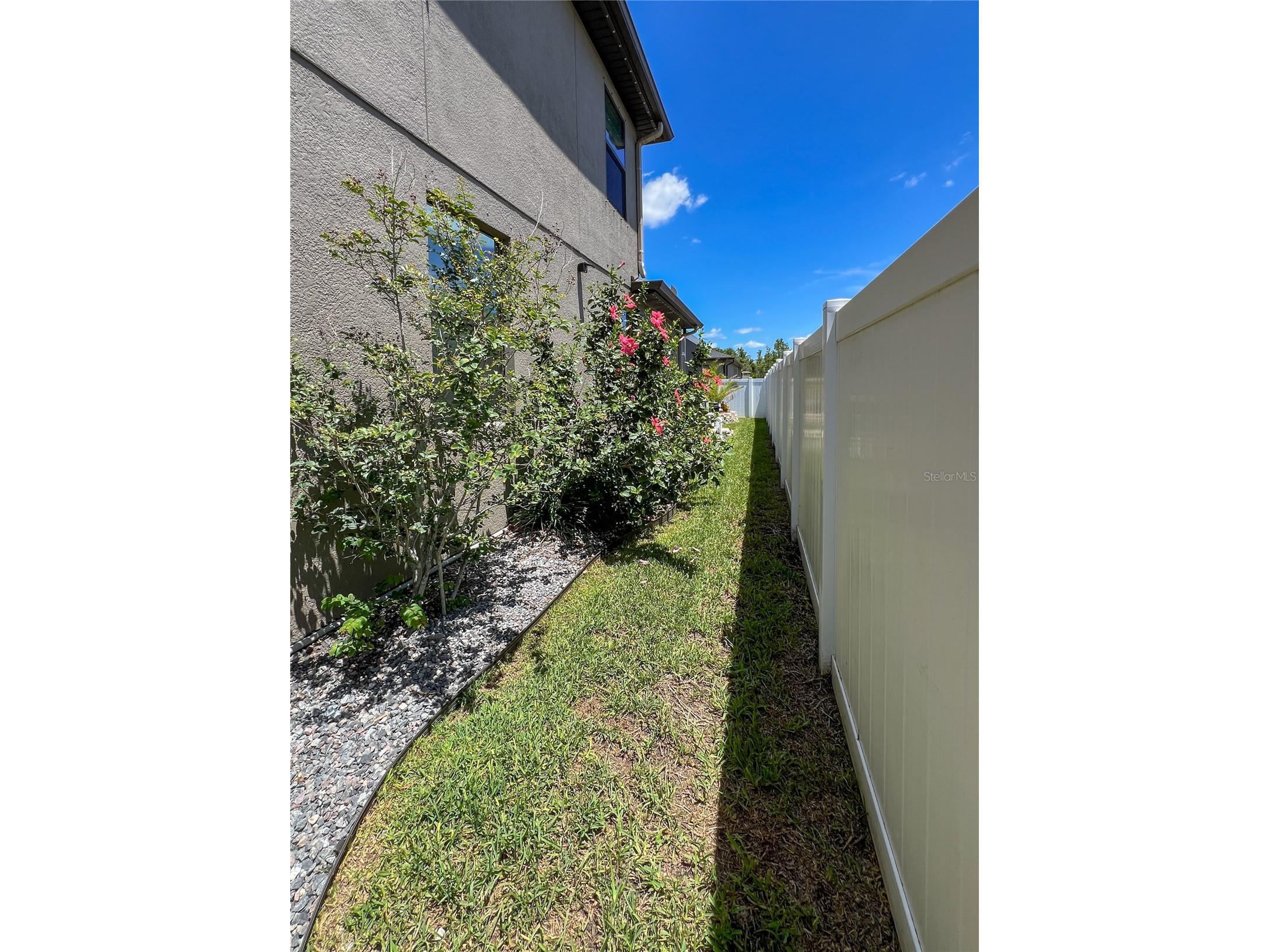 12307 Newt Court New Port Richey FL 34654 TB8516519 image60