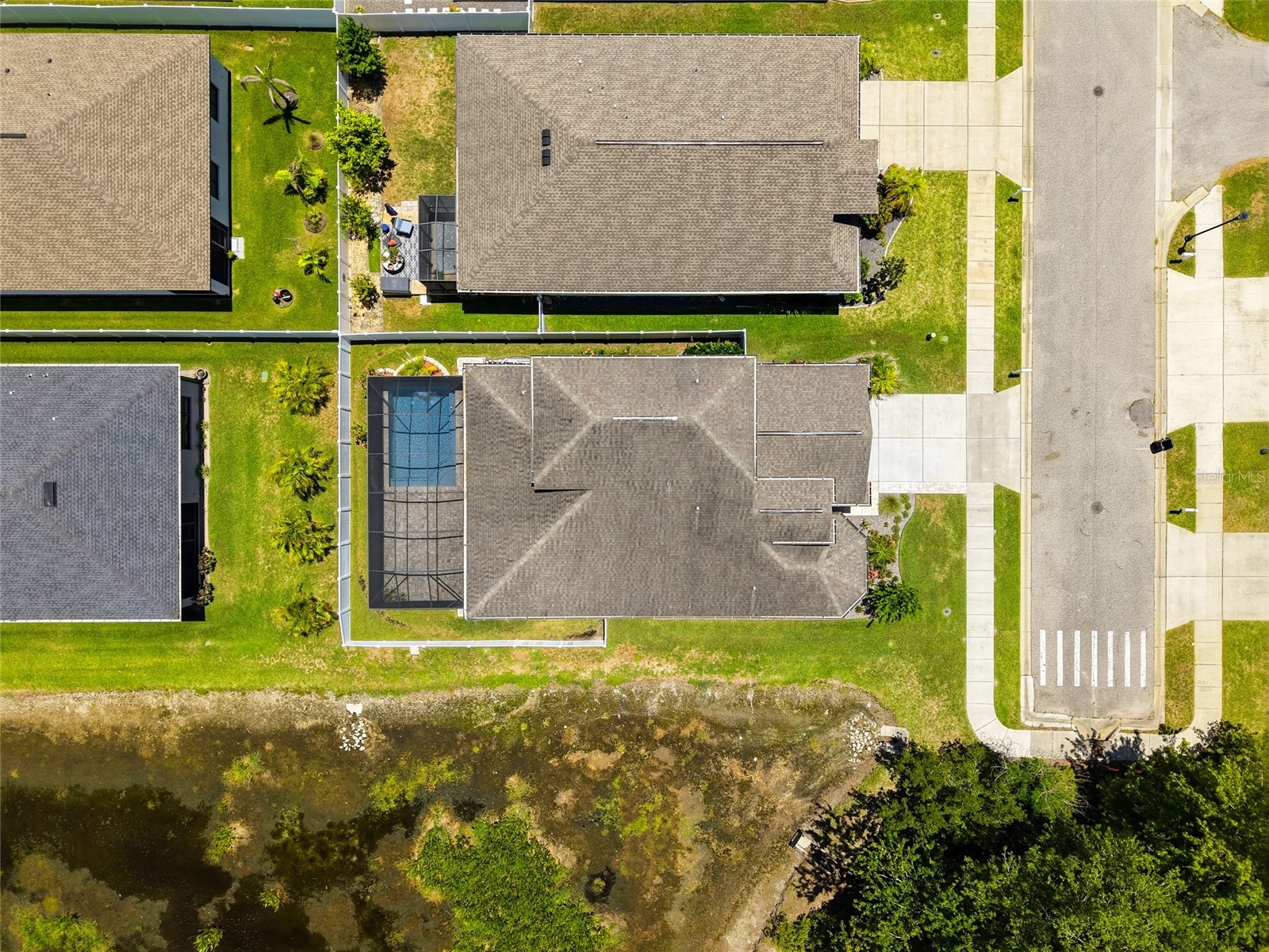 12307 Newt Court New Port Richey FL 34654 TB8516519 image61