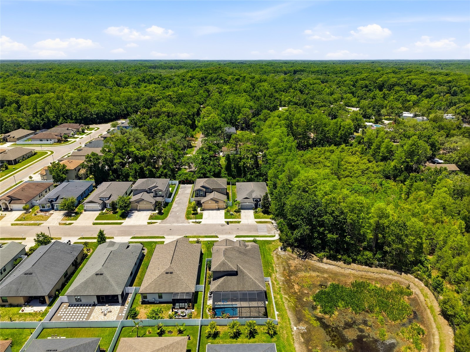 12307 Newt Court New Port Richey FL 34654 TB8516519 image65