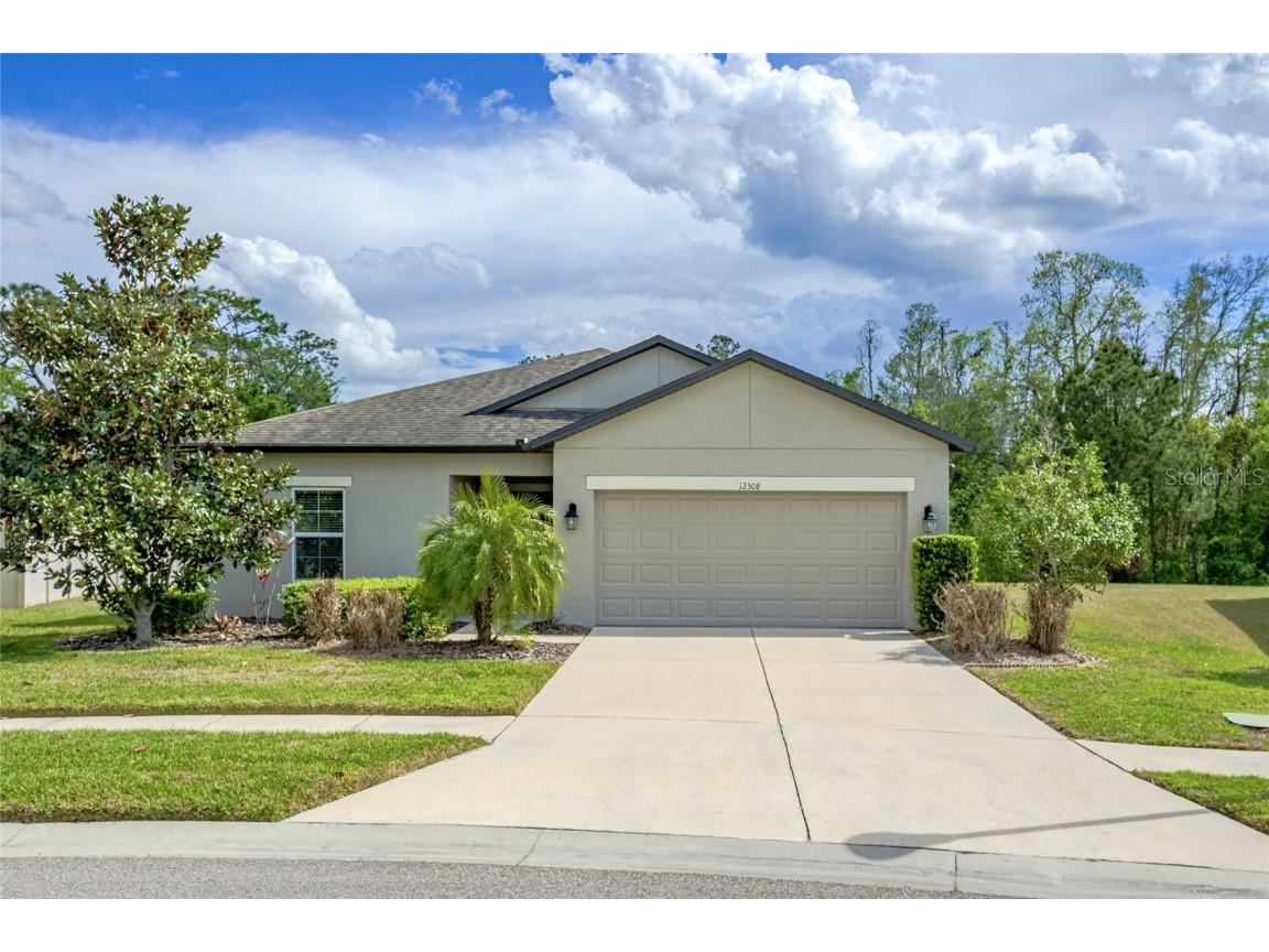 12308 Chaya Court Spring Hill FL 34610 TB8367067 image1