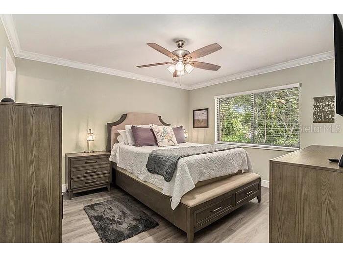 12308 Eagleswood Drive #D Hudson FL 34667 TB8507556 image16