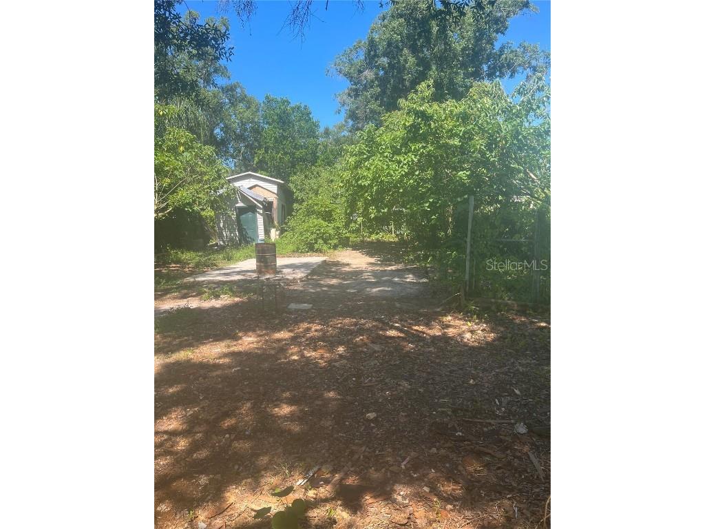 12308 Pittsfield Avenue Tampa FL 33624 T3453784 image1