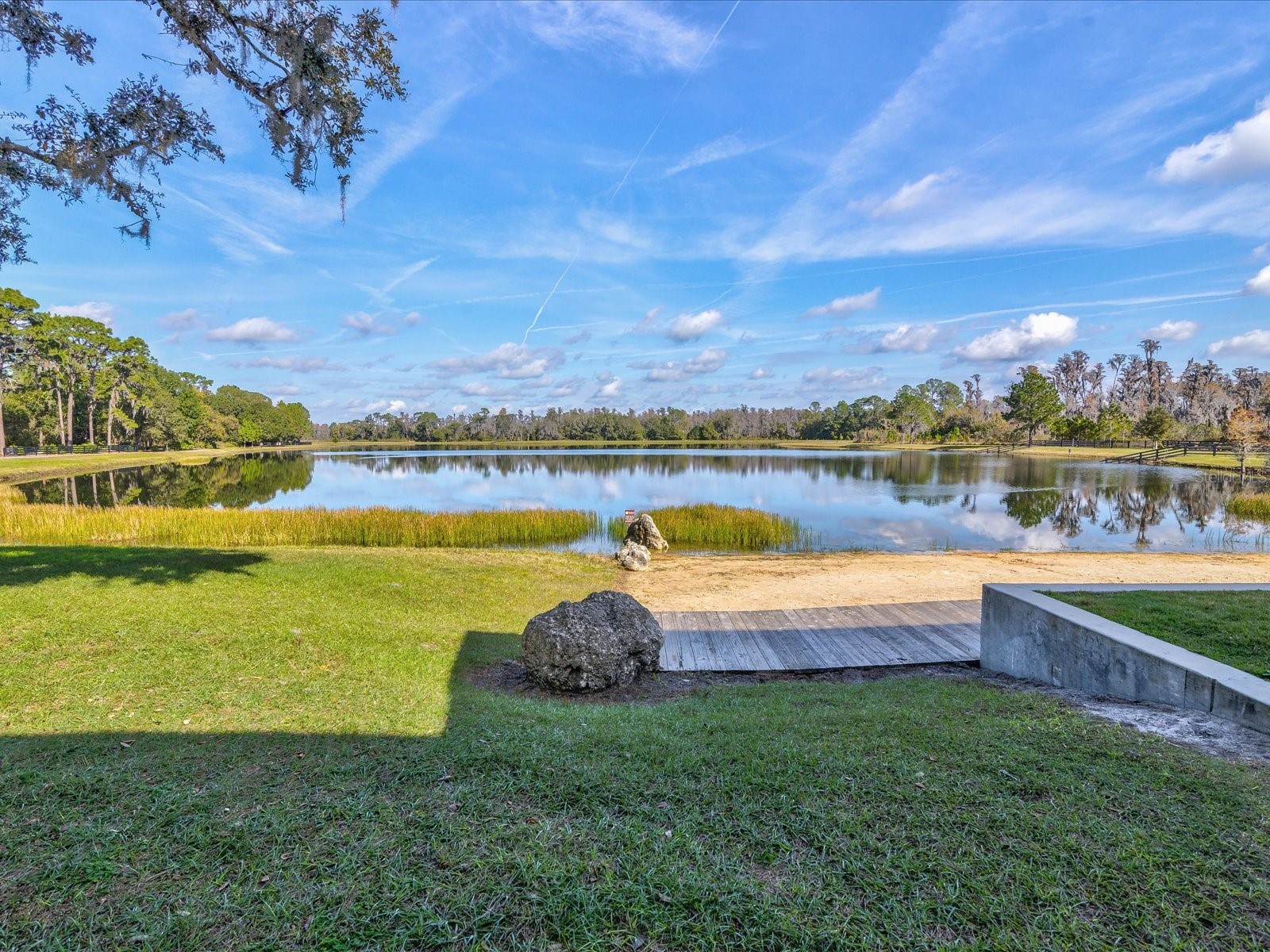 12308 Rangeland Boulevard Odessa FL 33556 W7884263 image49