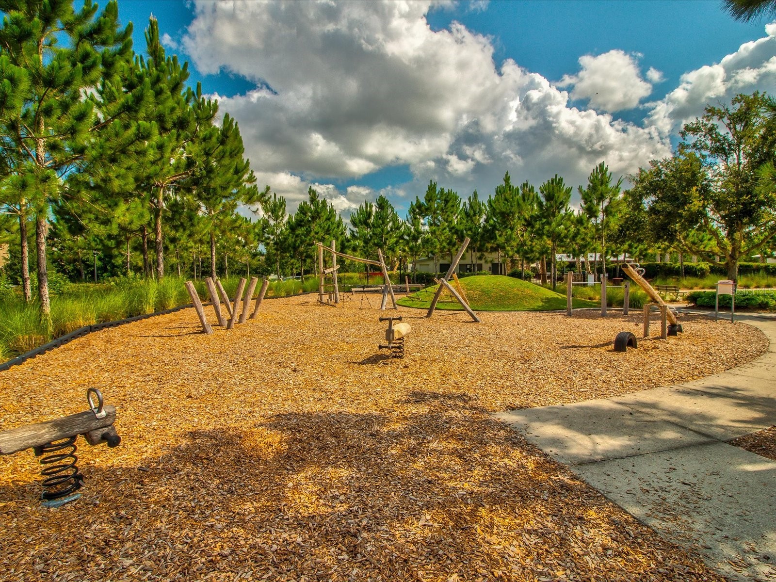 12308 Rangeland Boulevard Odessa FL 33556 W7884263 image50