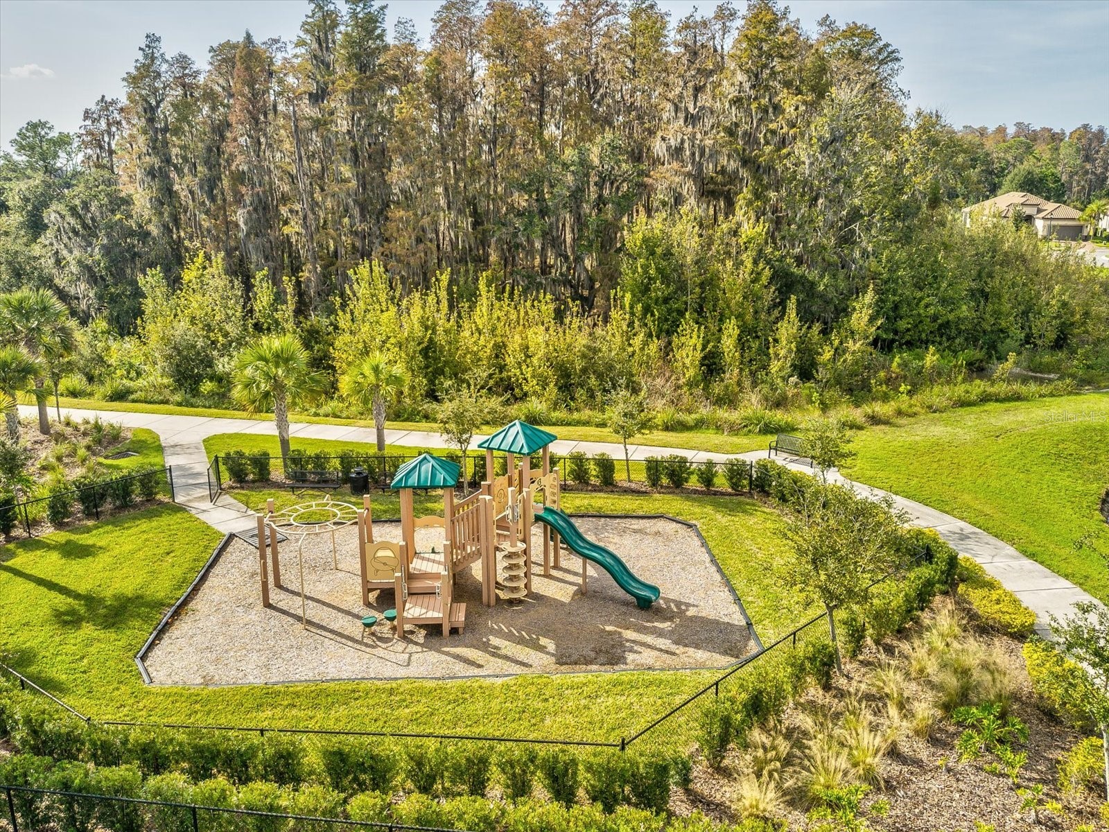 12308 Rangeland Boulevard Odessa FL 33556 W7884263 image53