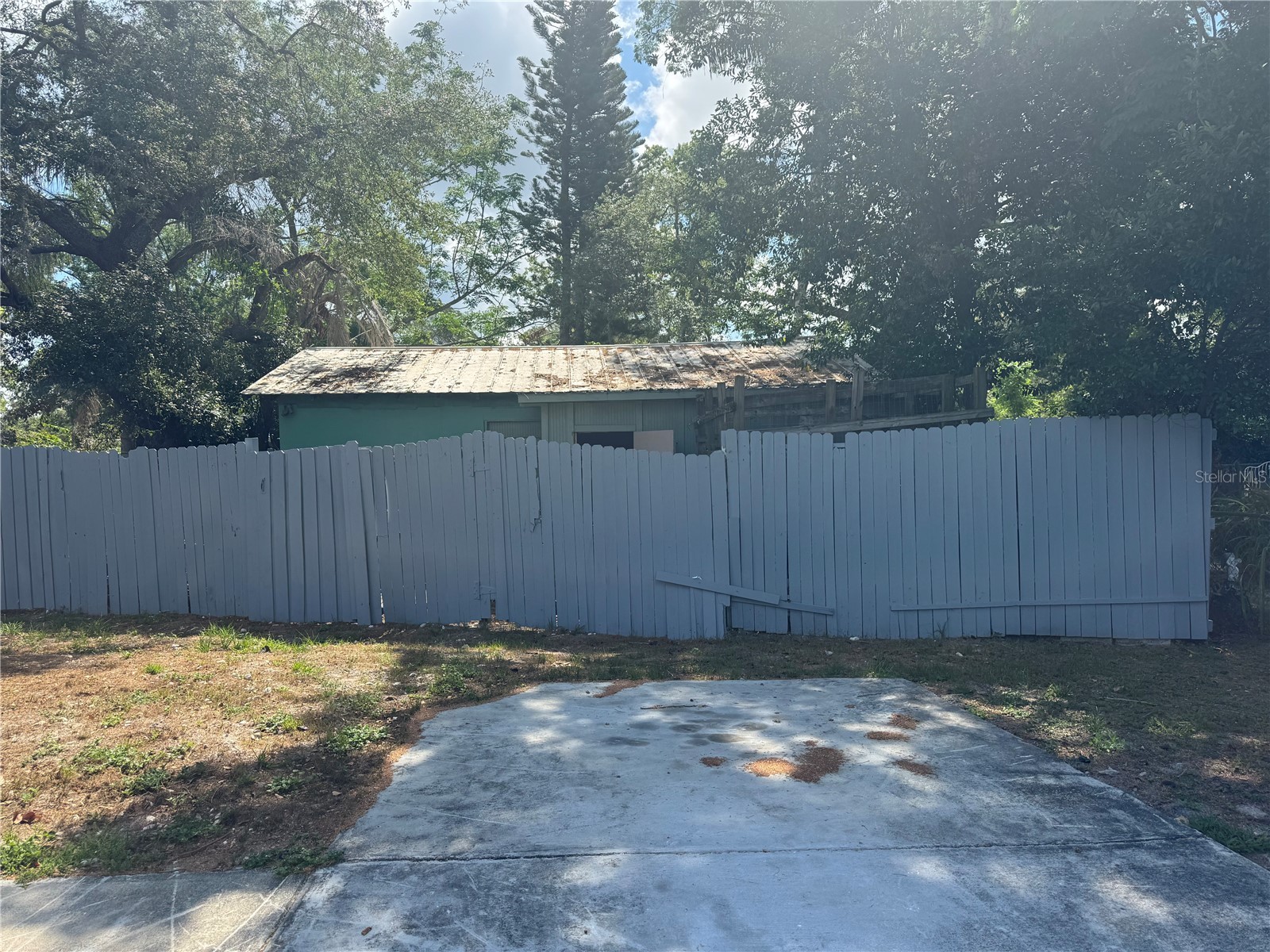 12309 Cambridge Avenue Tampa FL 33624 L4961776 image22
