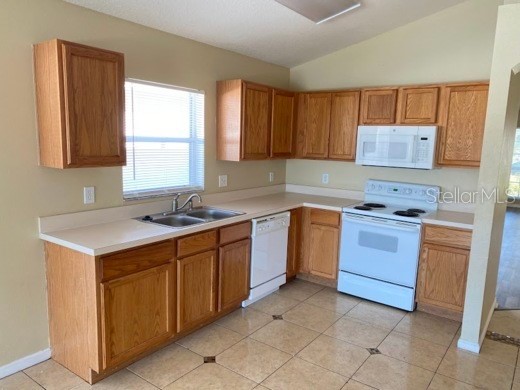 12309 Hawkeye Point Place Riverview FL 33578 TB8455392 image11