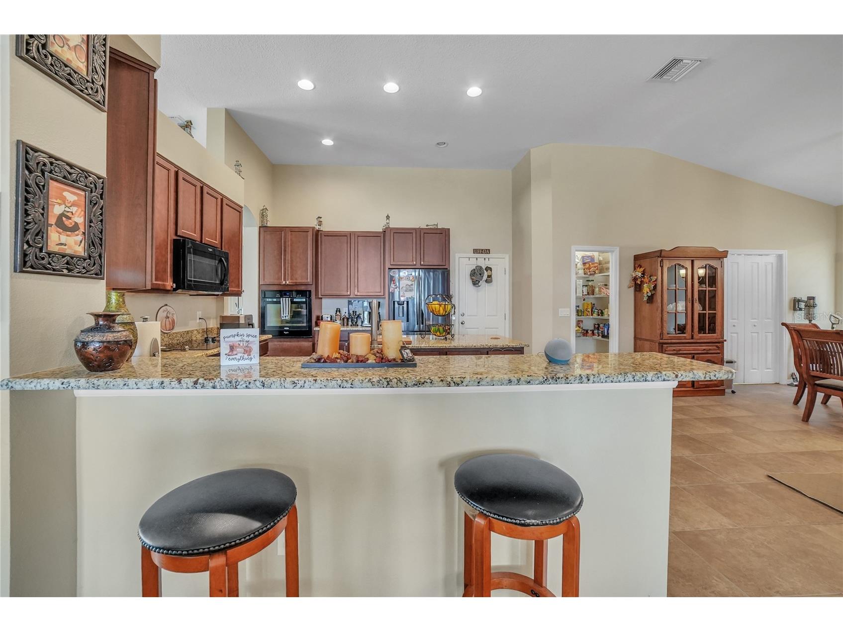 12309 Loopback Drive San Antonio FL 33576 TB8504303 image34