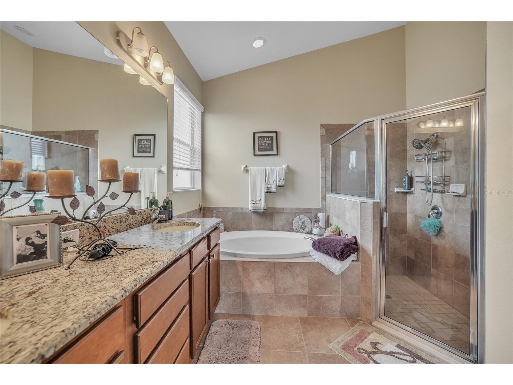 12309 Loopback Drive San Antonio FL 33576 TB8504303 image49