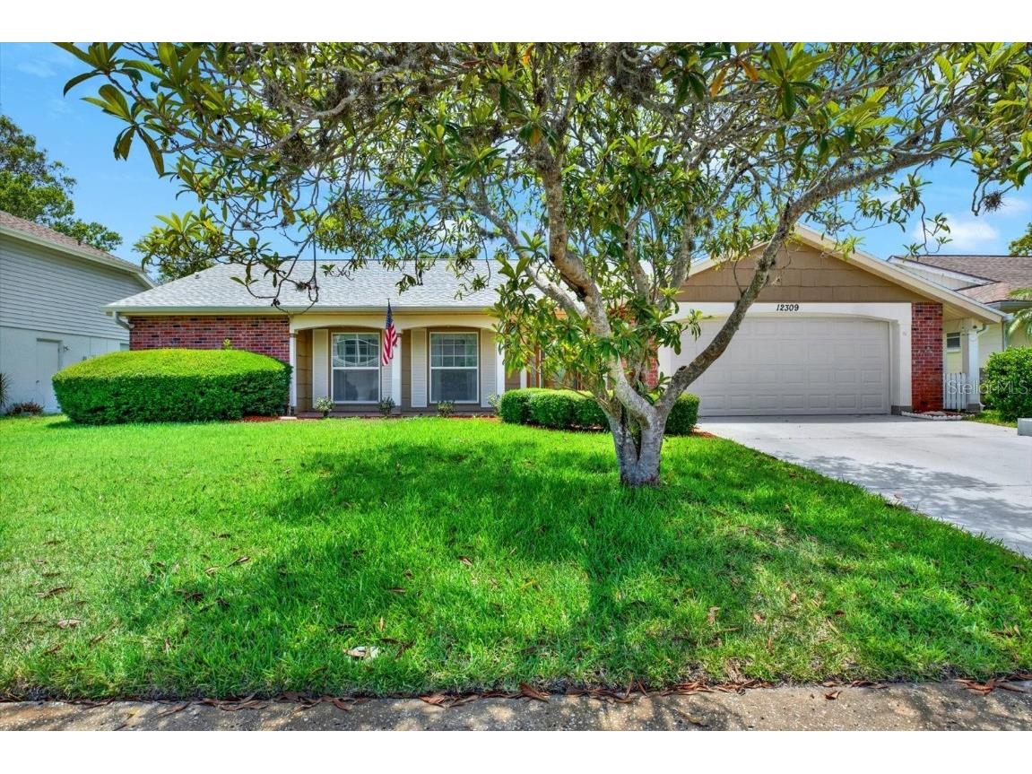 12309 Northwinder Row Hudson FL 34667 T3532275 image1