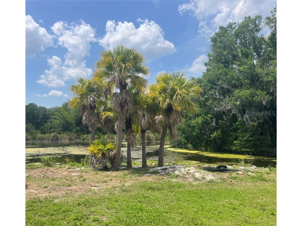 1231 43rd Street Orlando FL 32839 O6313226 image3