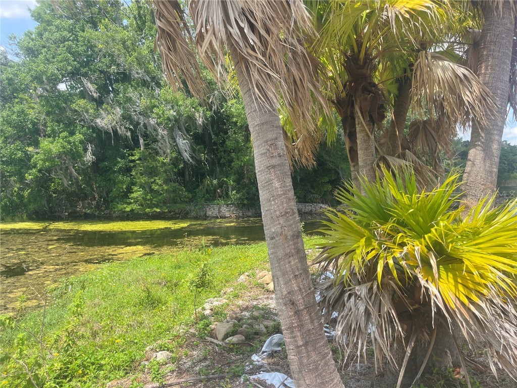 1231 43rd Street Orlando FL 32839 O6313226 image8