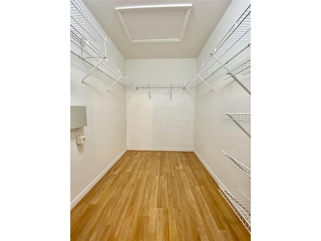 1231 Charlesworth Drive Wesley Chapel FL 33543 TB8418486 image28