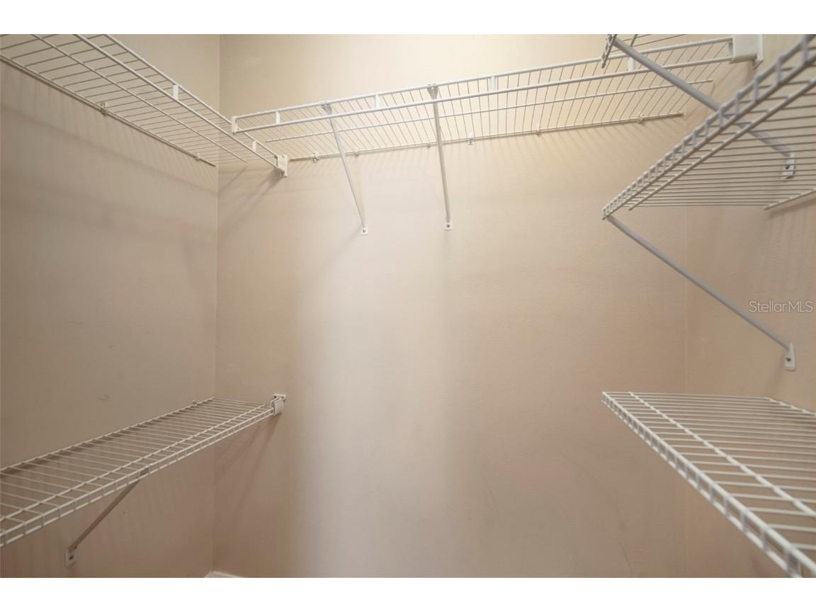 1231 Charlesworth Drive Wesley Chapel FL 33543 TB8418486 image34