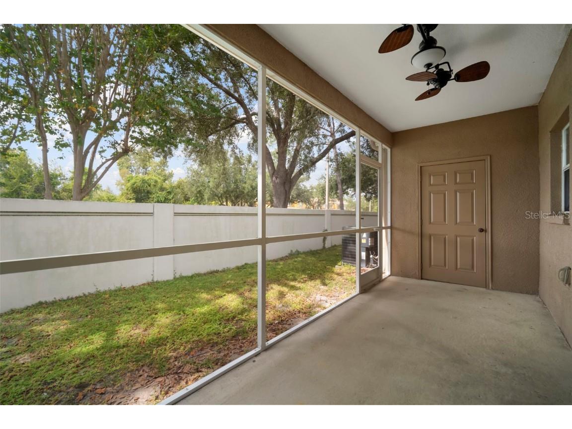 1231 Charlesworth Drive Wesley Chapel FL 33543 TB8418486 image37