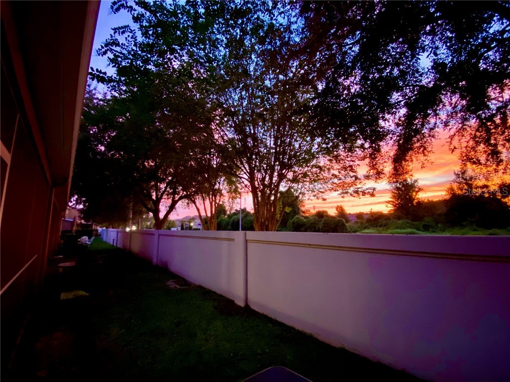 1231 Charlesworth Drive Wesley Chapel FL 33543 TB8418486 image41