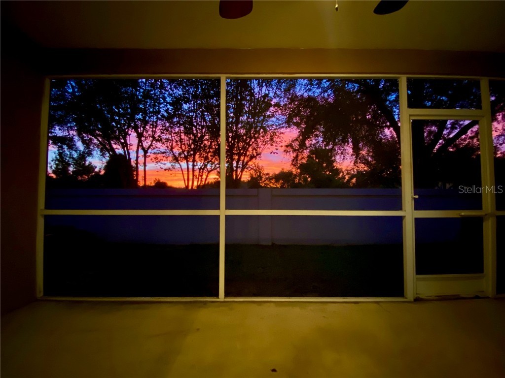 1231 Charlesworth Drive Wesley Chapel FL 33543 TB8418486 image43