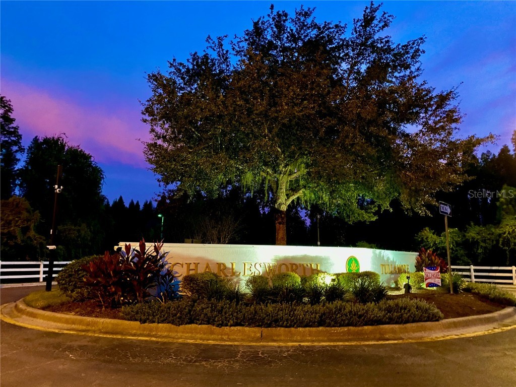 1231 Charlesworth Drive Wesley Chapel FL 33543 TB8418486 image44