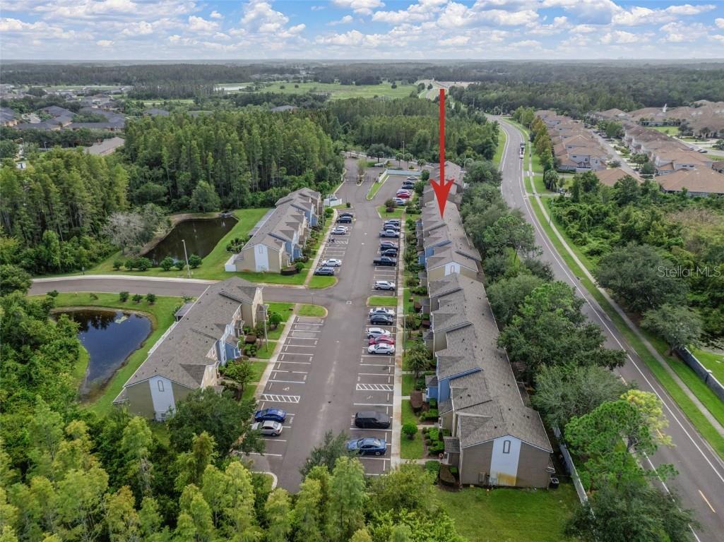 1231 Charlesworth Drive Wesley Chapel FL 33543 TB8418486 image45