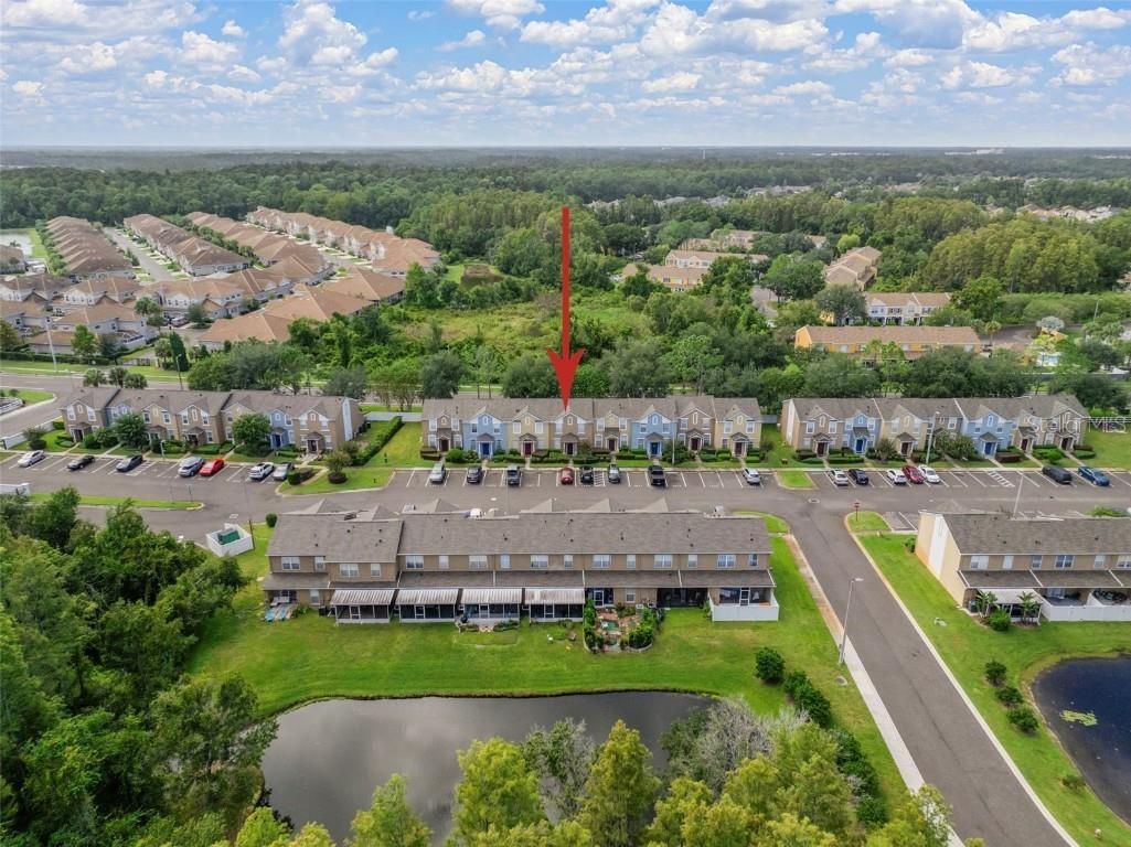 1231 Charlesworth Drive Wesley Chapel FL 33543 TB8418486 image47