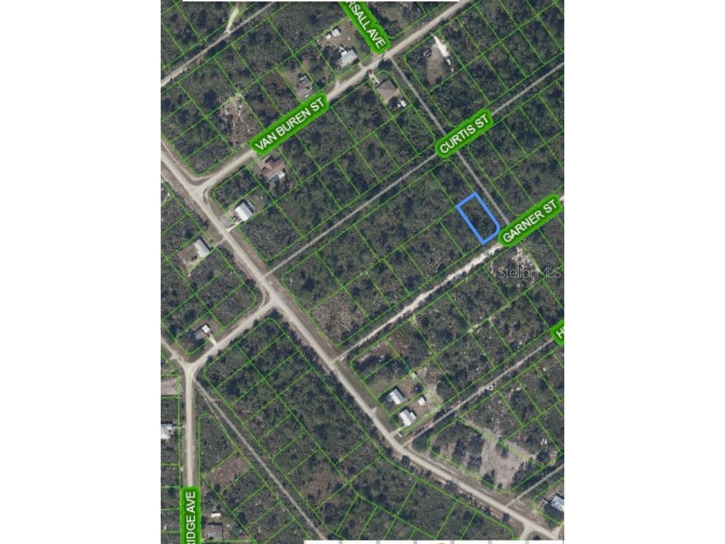 1231 Chestersall Avenue Lake Placid FL 33852 O6210673 image1